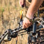Top 10 Best Compound Bow for the Money 2019
