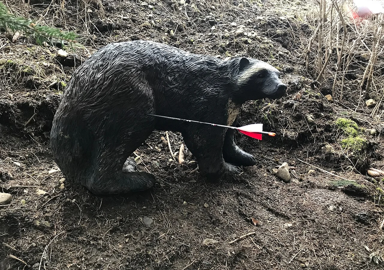 Foam 3D animal archery target with an arrow in it on a woodland course