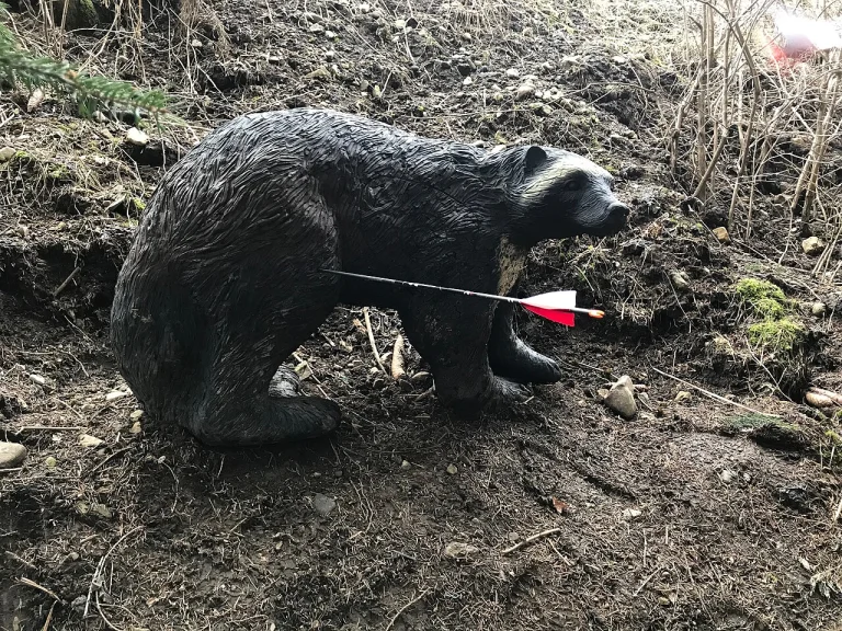 Foam 3D animal archery target with an arrow in it on a woodland course