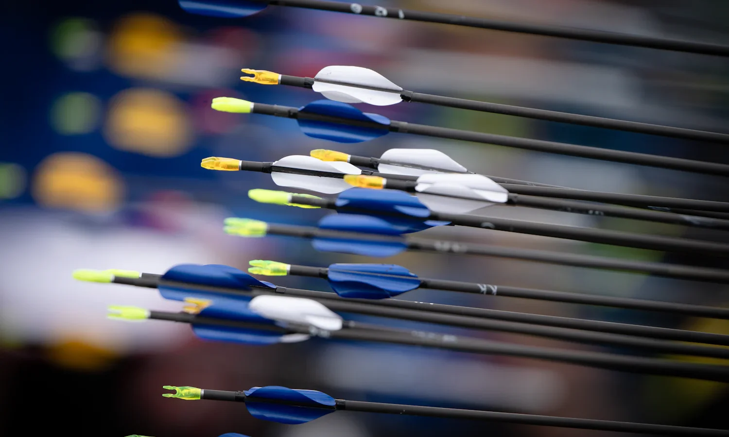 Close-up of a row of arrows showing their fletching and nocks