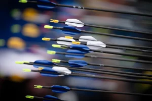 Close-up of a row of arrows showing their fletching and nocks