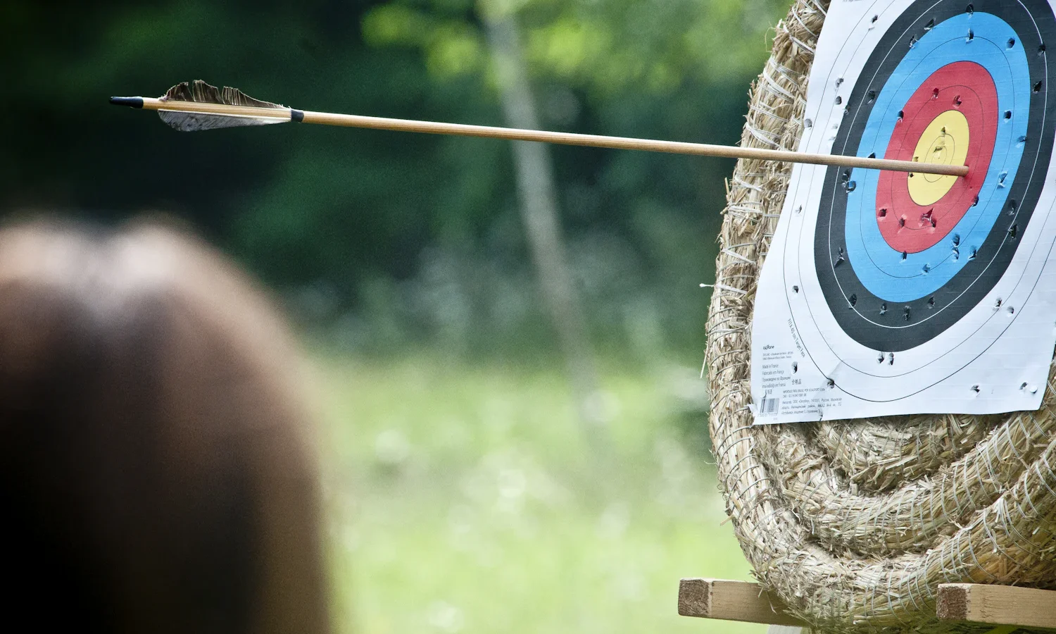 Arrow striking a straw archery target, with the archer blurred in the foreground
