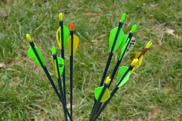 Arrows with bright green and yellow vanes standing in grass