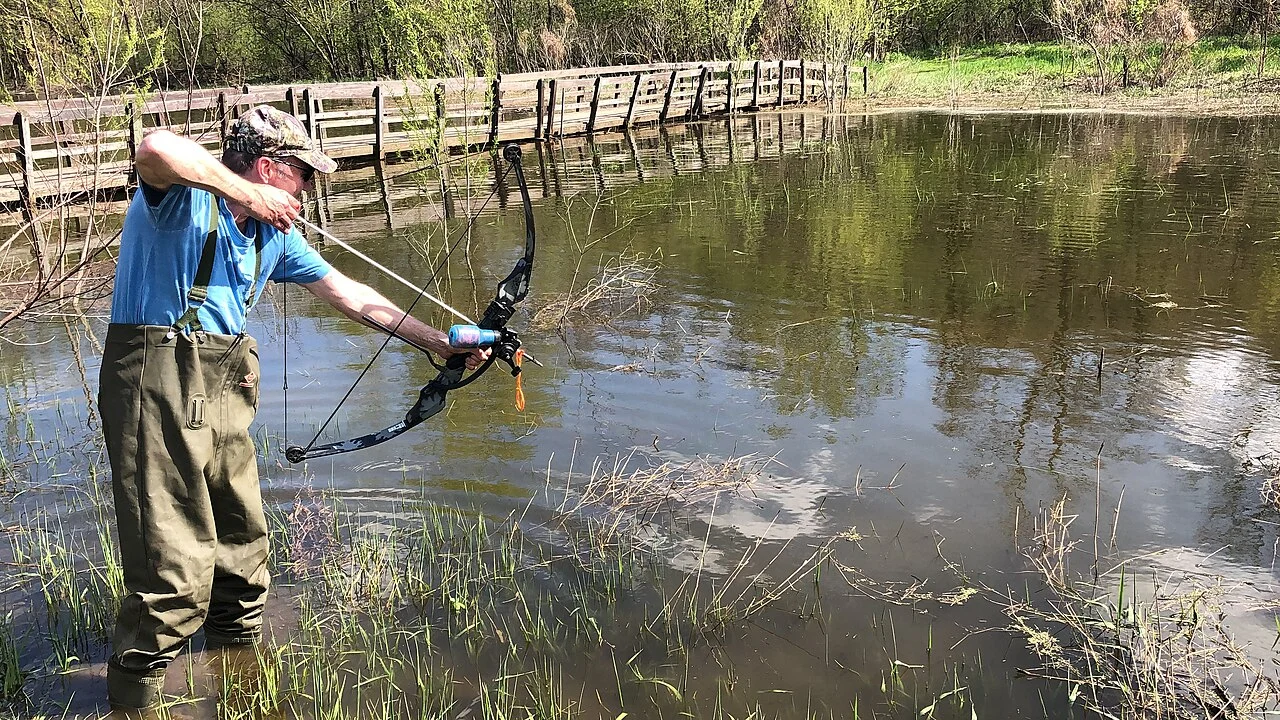 Bowfisher in waders drawing a bowfishing bow at the edge of a pond