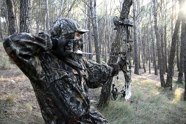 Bowhunter in full camouflage drawing a compound bow in a pine forest