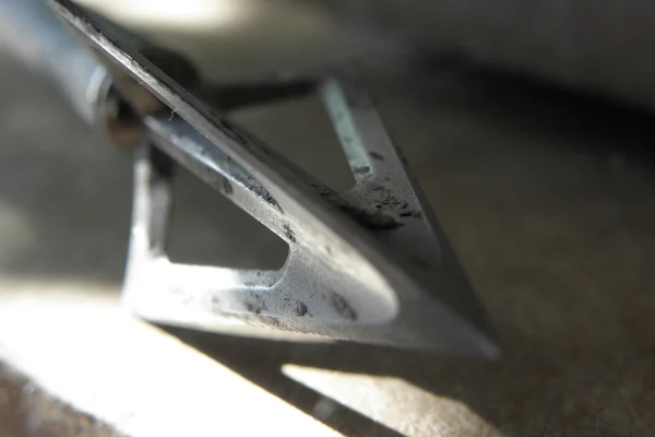 Close-up of a fixed-blade broadhead mounted on an arrow