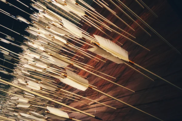 Bundle of wooden arrows with natural feather fletching