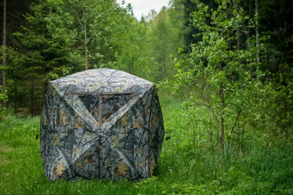 Camouflage pop-up hunting blind at the edge of a forest