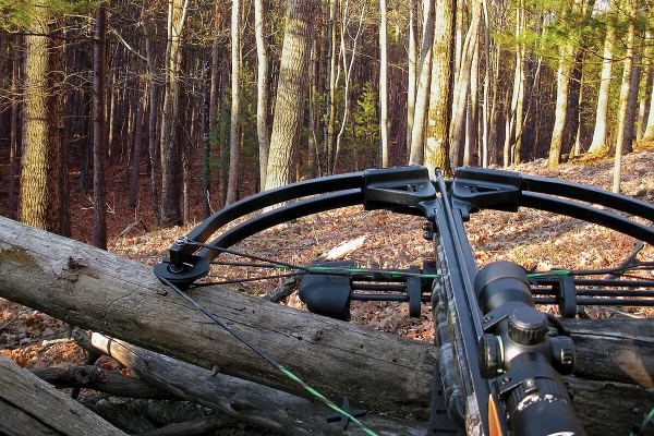 Modern crossbow resting on a fallen log in a forest