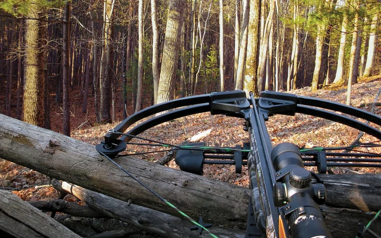Modern crossbow resting on a fallen log in a forest