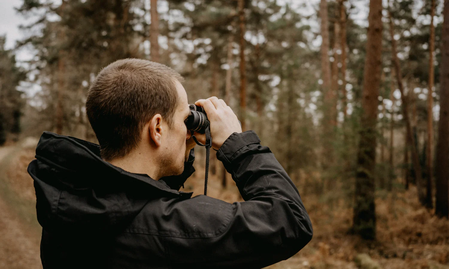 Man in a pine forest looking through binoculars