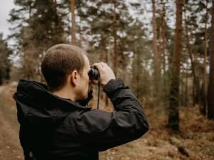 Man in a pine forest looking through binoculars