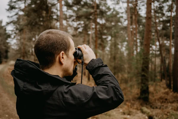 Man in a pine forest looking through binoculars
