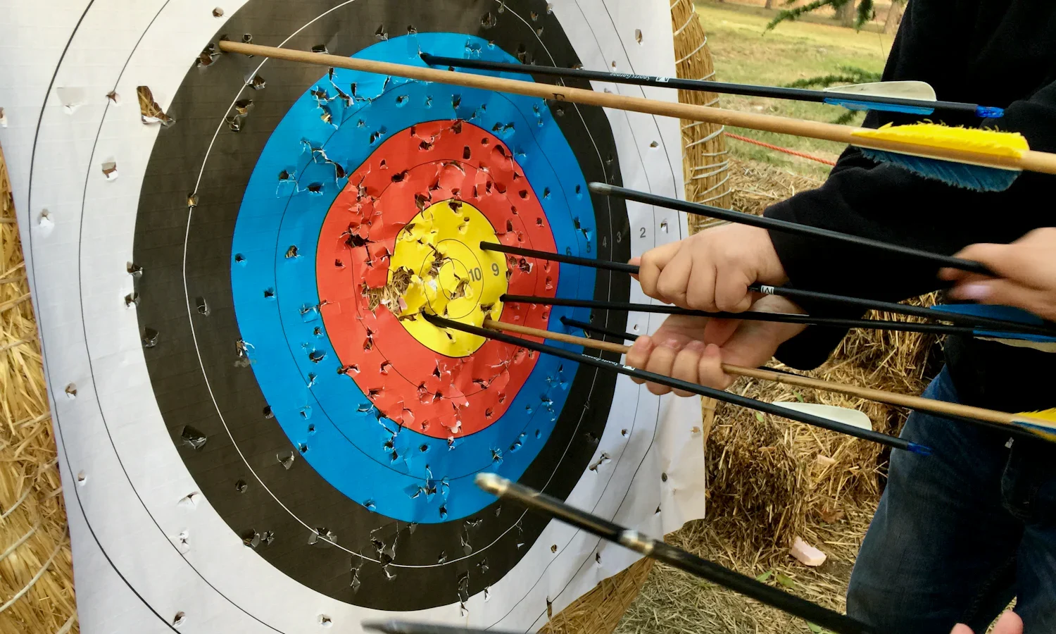 Archer pulling a group of arrows from the centre of an archery target