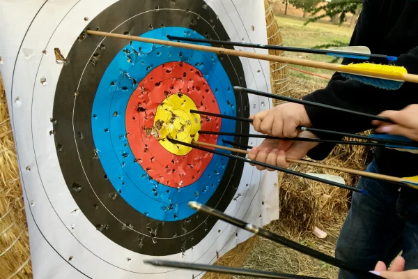 Archer pulling a group of arrows from the centre of an archery target