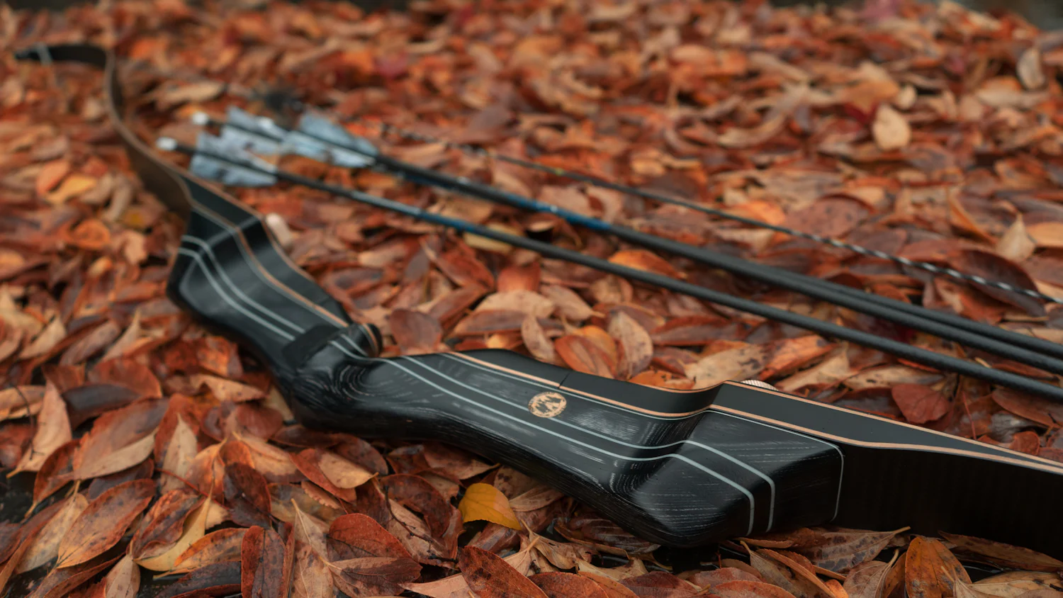 Takedown recurve bow and arrows lying on fallen autumn leaves